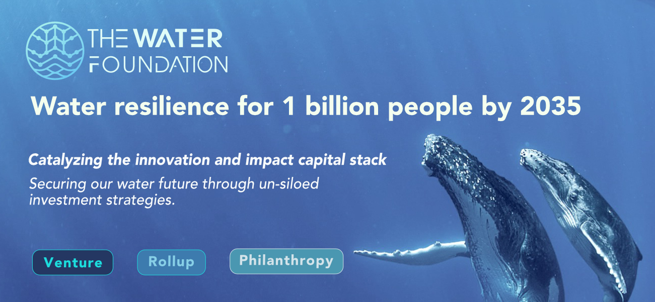 The Water Foundation